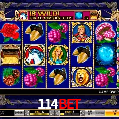 APP oficial da 114bet para mobile